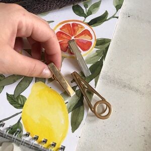 Set of Vintage Tie Bars